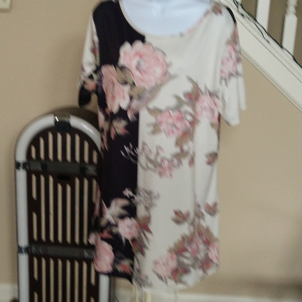 Azalea by Firmiana Cream, Charcoal, Pink Floral print Tunic Sz 1X